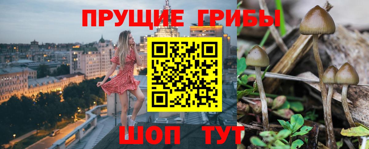 Псилоцибиновые грибы мухоморы Тольятти